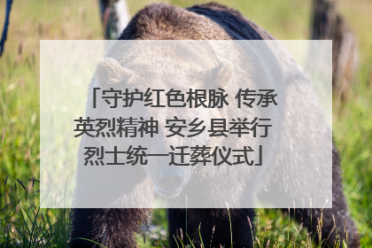 守护红色根脉 传承英烈精神 安乡县举行烈士统一迁葬仪式