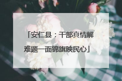安仁县：干部真情解难题一面锦旗映民心