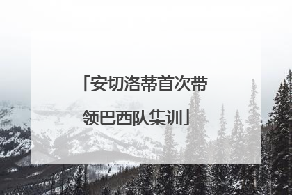 安切洛蒂首次带领巴西队集训