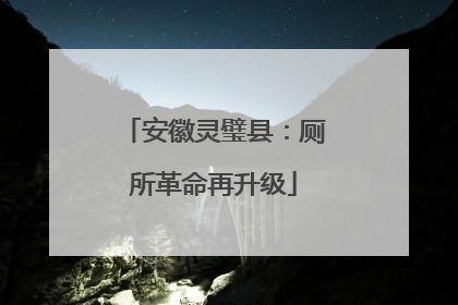安徽灵璧县：厕所革命再升级
