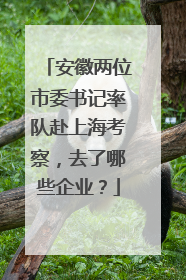 安徽两位市委书记率队赴上海考察，去了哪些企业？