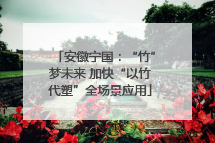 安徽宁国：“竹”梦未来 加快“以竹代塑”全场景应用