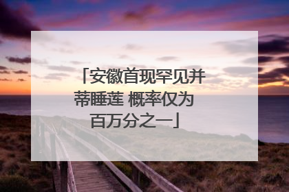 安徽首现罕见并蒂睡莲 概率仅为百万分之一