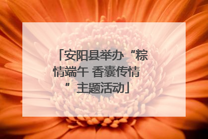 安阳县举办“粽情端午 香囊传情”主题活动