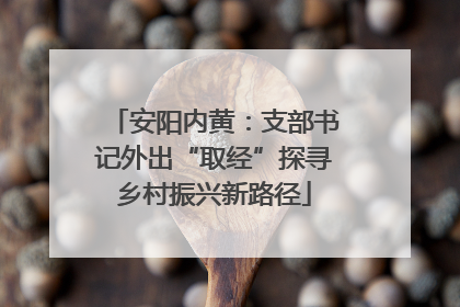 安阳内黄：支部书记外出“取经”探寻乡村振兴新路径