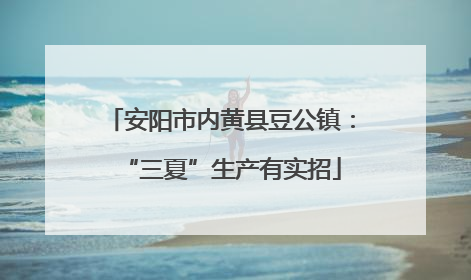 安阳市内黄县豆公镇：“三夏”生产有实招