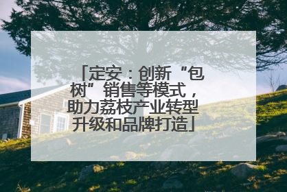 定安：创新“包树”销售等模式，助力荔枝产业转型升级和品牌打造