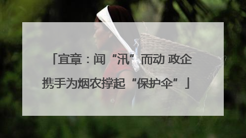宜章：闻“汛”而动 政企携手为烟农撑起“保护伞”