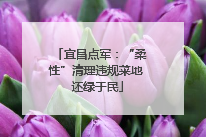 宜昌点军：“柔性”清理违规菜地 还绿于民