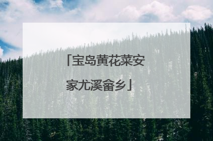 宝岛黄花菜安家尤溪畲乡
