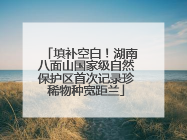 填补空白！湖南八面山国家级自然保护区首次记录珍稀物种宽距兰