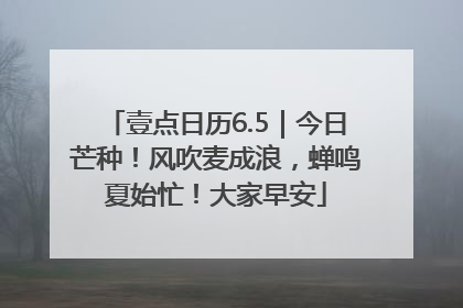 壹点日历6.5｜今日芒种！风吹麦成浪，蝉鸣夏始忙！大家早安