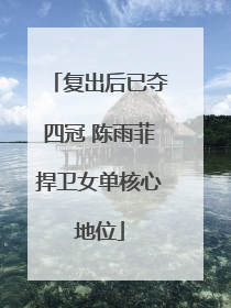 复出后已夺四冠 陈雨菲捍卫女单核心地位