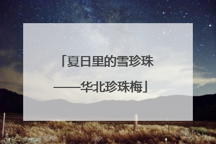 夏日里的雪珍珠——华北珍珠梅