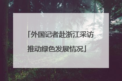 外国记者赴浙江采访推动绿色发展情况