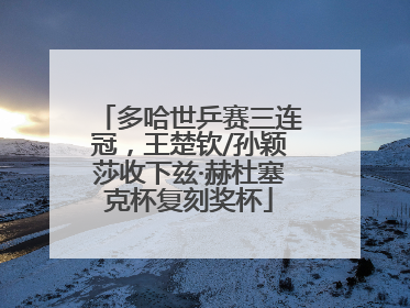 多哈世乒赛三连冠，王楚钦/孙颖莎收下兹·赫杜塞克杯复刻奖杯