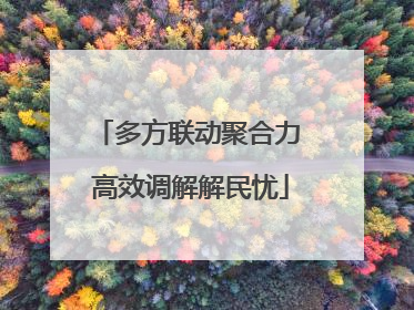 多方联动聚合力 高效调解解民忧