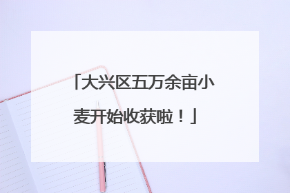 大兴区五万余亩小麦开始收获啦！