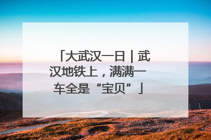 大武汉一日｜武汉地铁上，满满一车全是“宝贝”