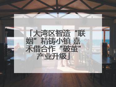 大湾区智造“联姻”精铸小镇 嘉禾借合作“破茧”产业升级