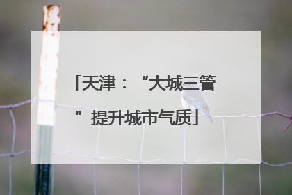 天津：“大城三管”提升城市气质