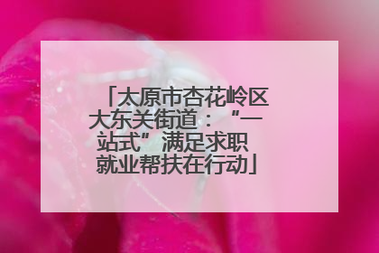 太原市杏花岭区大东关街道：“一站式”满足求职 就业帮扶在行动