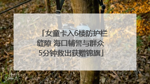 女童卡入6楼防护栏缝隙 海口辅警与群众5分钟救出获赠锦旗