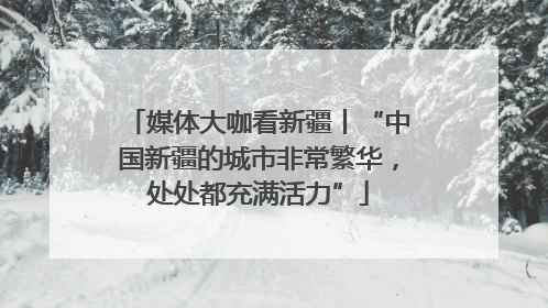 媒体大咖看新疆丨“中国新疆的城市非常繁华，处处都充满活力”
