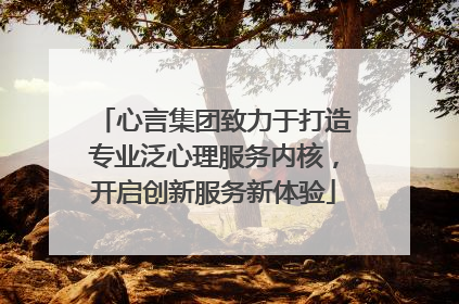 心言集团致力于打造专业泛心理服务内核，开启创新服务新体验