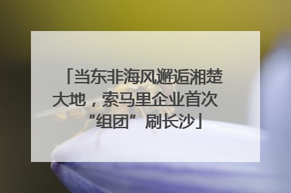 当东非海风邂逅湘楚大地，索马里企业首次“组团”刷长沙