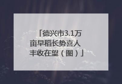德兴市3.1万亩早稻长势喜人 丰收在望（图）