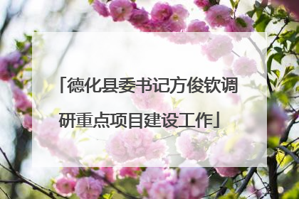 德化县委书记方俊钦调研重点项目建设工作