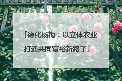 德化杨梅：以立体农业打通共同富裕新路子