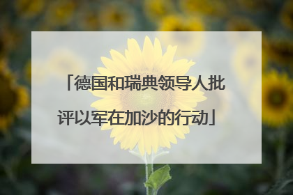德国和瑞典领导人批评以军在加沙的行动
