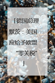 德国总理默茨：美国应给予欧盟“零关税”