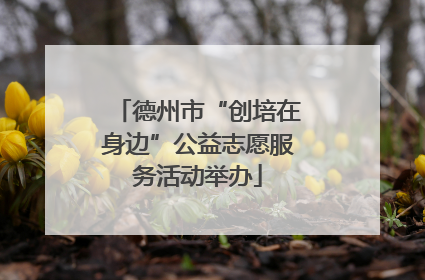 德州市“创培在身边”公益志愿服务活动举办