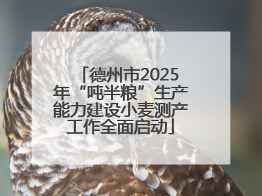 德州市2025年“吨半粮”生产能力建设小麦测产工作全面启动