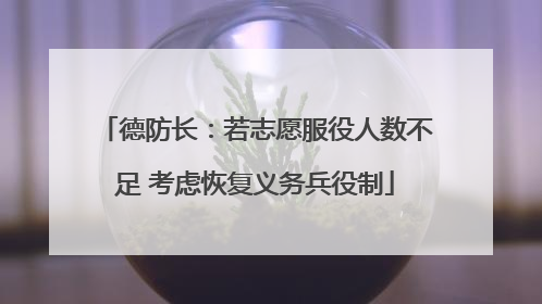 德防长：若志愿服役人数不足 考虑恢复义务兵役制