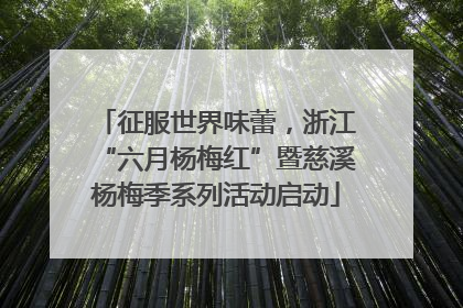 征服世界味蕾，浙江“六月杨梅红”暨慈溪杨梅季系列活动启动