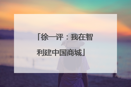 徐一评：我在智利建中国商城