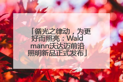 循光之律动，为更好而照亮：Waldmann沃达迈前沿照明新品正式发布