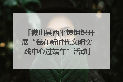 微山县西平镇组织开展“我在新时代文明实践中心过端午”活动