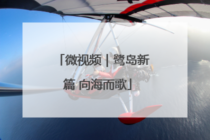 微视频｜鹭岛新篇 向海而歌
