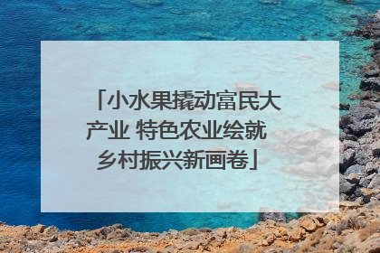 小水果撬动富民大产业 特色农业绘就乡村振兴新画卷