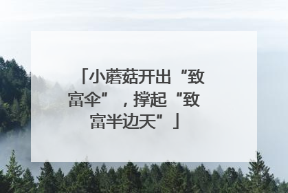 小蘑菇开出“致富伞”，撑起“致富半边天”