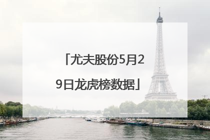尤夫股份5月29日龙虎榜数据