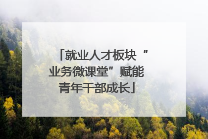 就业人才板块“业务微课堂”赋能青年干部成长