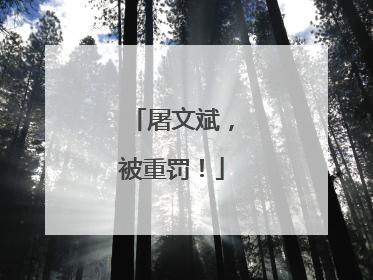 屠文斌，被重罚！
