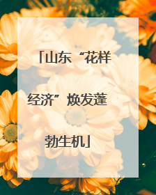 山东“花样经济”焕发蓬勃生机