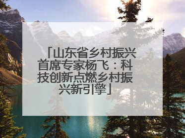 山东省乡村振兴首席专家杨飞：科技创新点燃乡村振兴新引擎